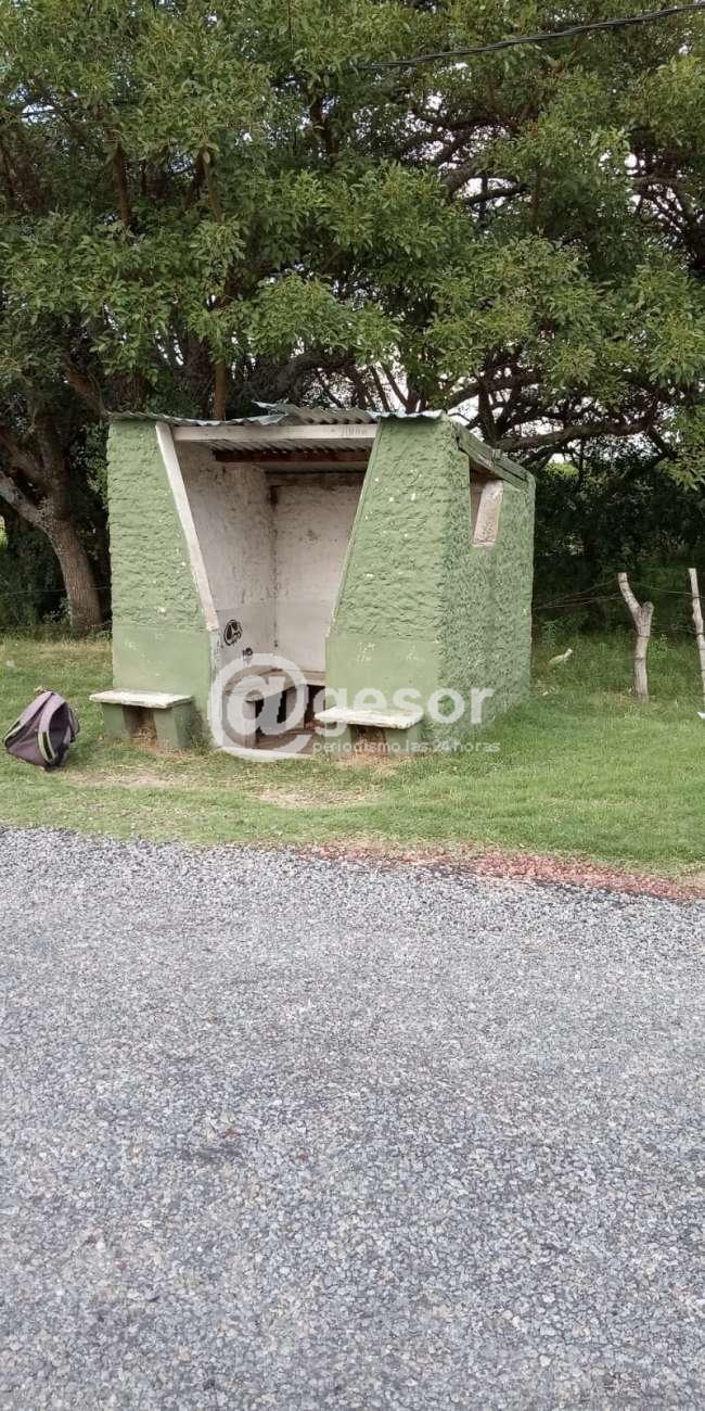 Image3